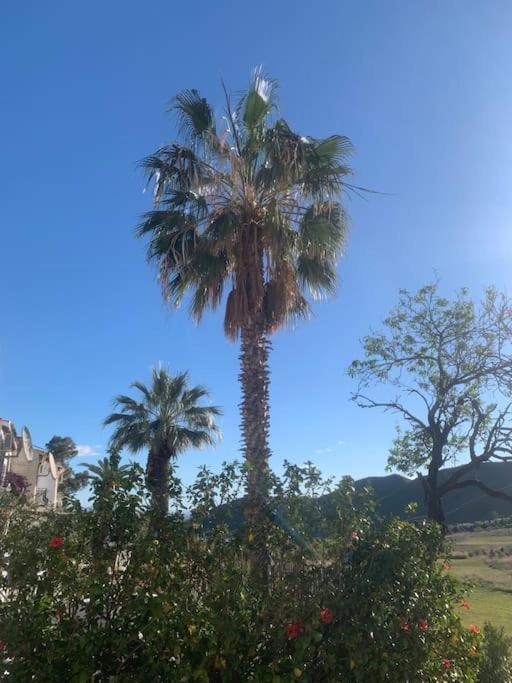 Ferienhaus Cervantes 3 Mojacar *