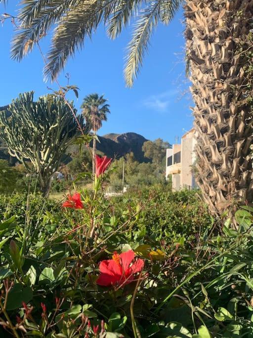 Cervantes 3 Mojacar Ferienhaus