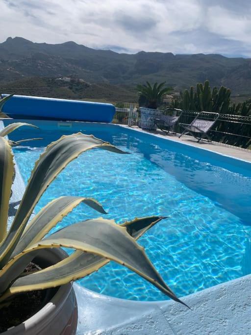Cervantes 3 Mojacar Turre